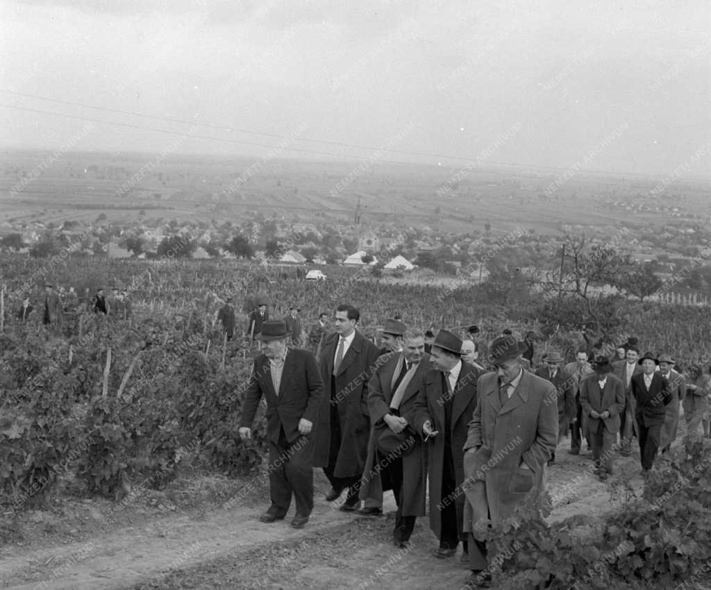 Történelem - Dobi István a szekszárdi Béke Tsz-ben