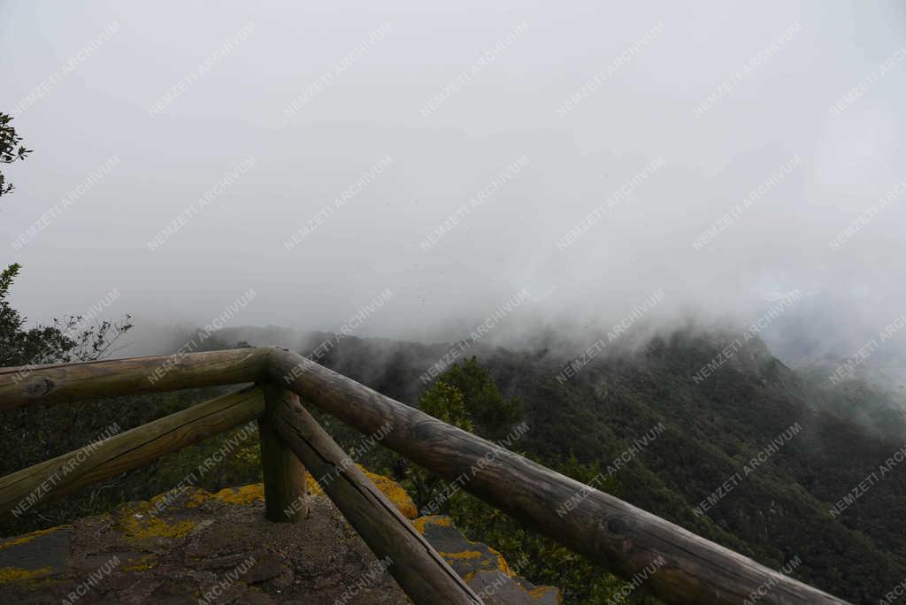 Természet - Tenerife - Pico Inglés-Angol csúcs