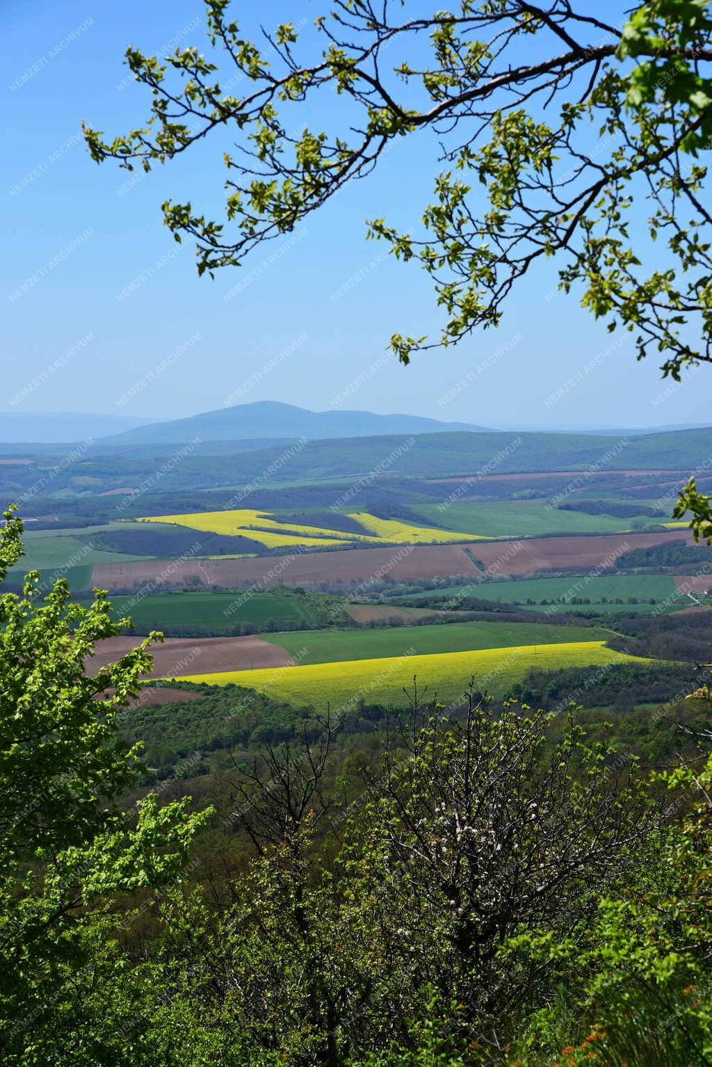 Tájkép - Szanda