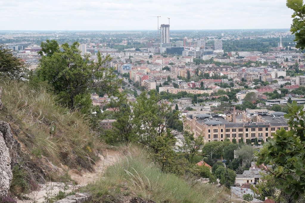 Természetvédelem - Budapest - Sas-hegy tanösvény