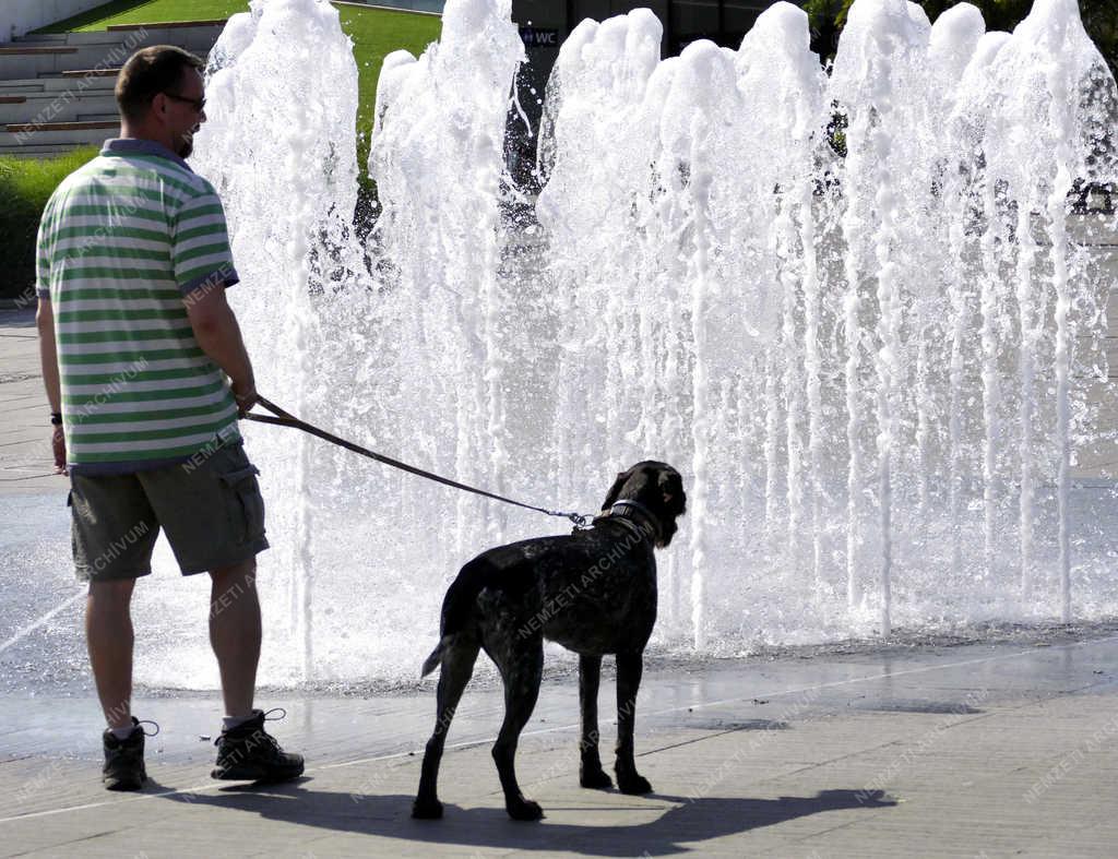 Időjárás - Budapest - Kutya és gazdája a szökőkútnál frissül a kánikulában