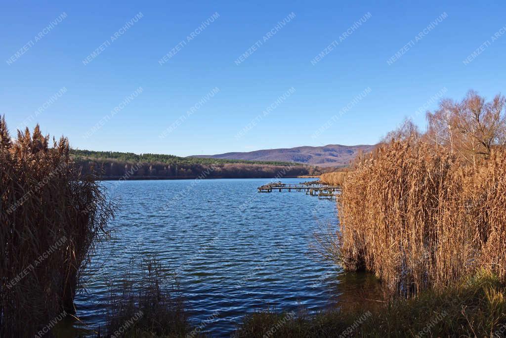 Szabadidő - Diósjenő – Horgásztó