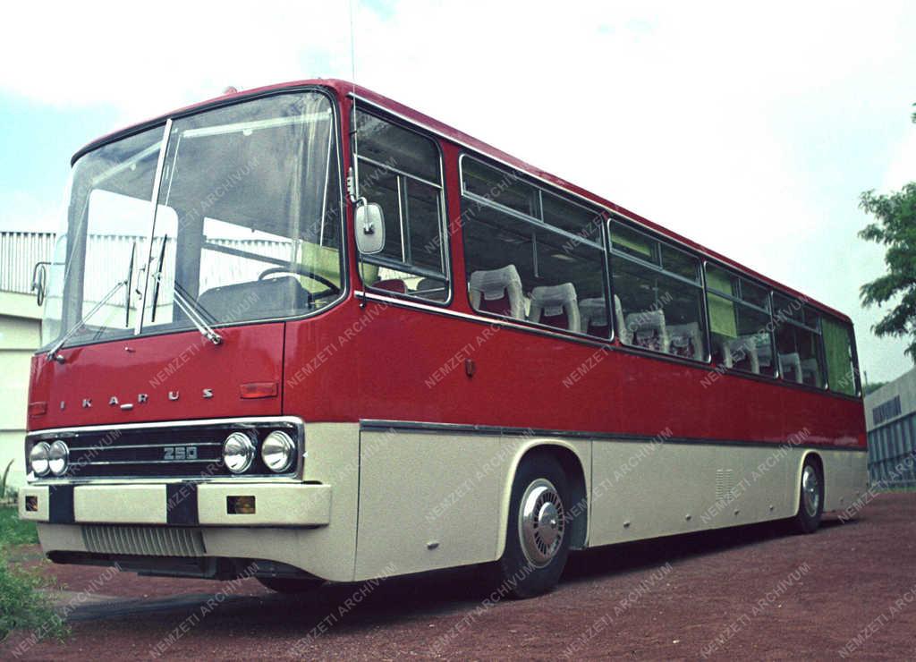 Autóbusz