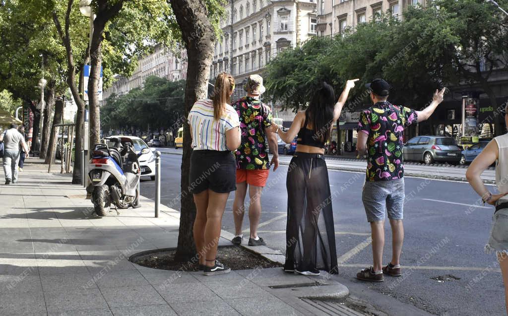 Turizmus - Budapest - Taxinak integető külföldiek