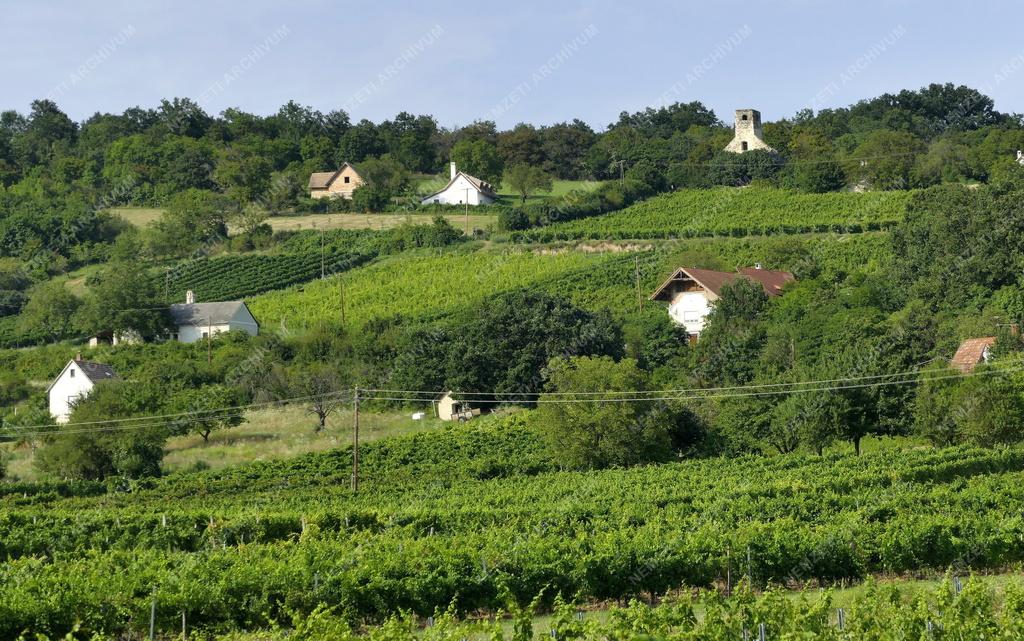 Tájkép - Balatonfelvidéki táj