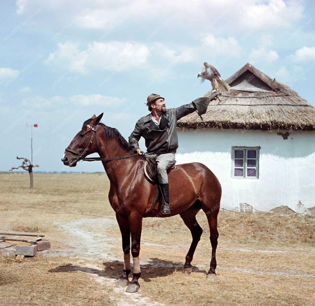 Filmforgatás - Gaál István: Magasiskola