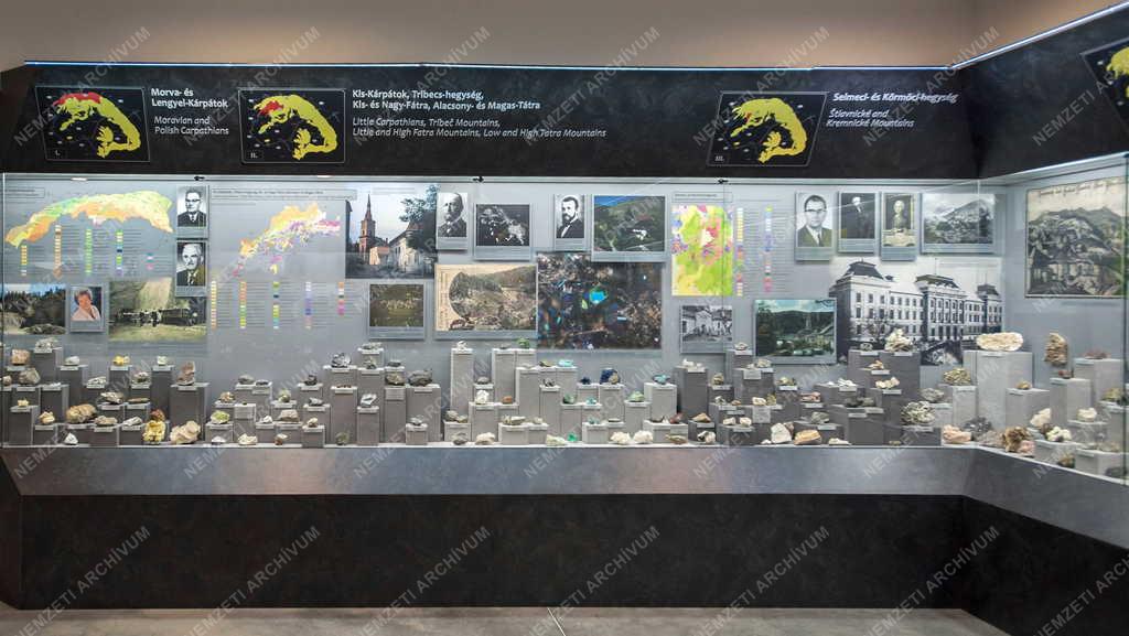 Kultúra - Miskolc - Új kiállítóhely - Pannon-tenger Múzeum