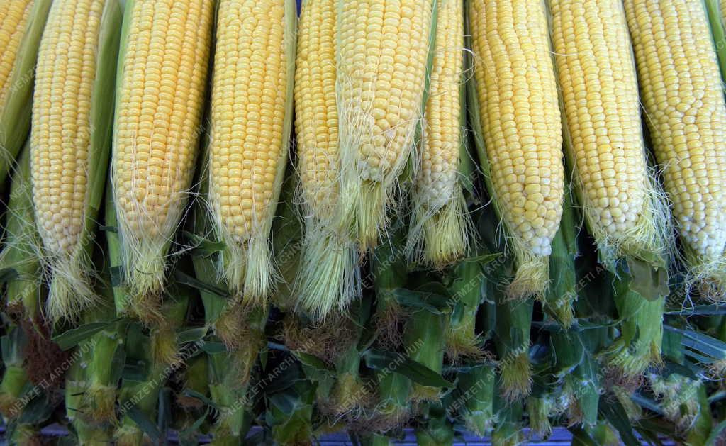 Kereskedelem - Debrecen - Vásárcsarnok