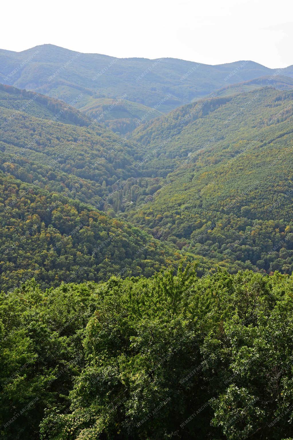 Turizmus - Szilvásvárad - Millenniumi kilátó