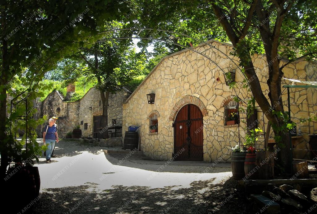 Település - Páty - Borospince