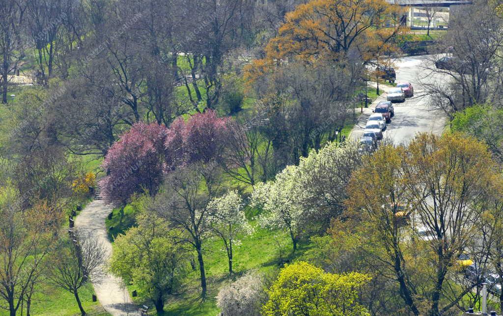 Városkép - Budapest - Tavasz a tabáni parkban