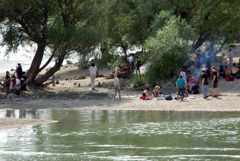 Szabadidő - Budapest - Természetkedvelők a Hajógyári-szigeten