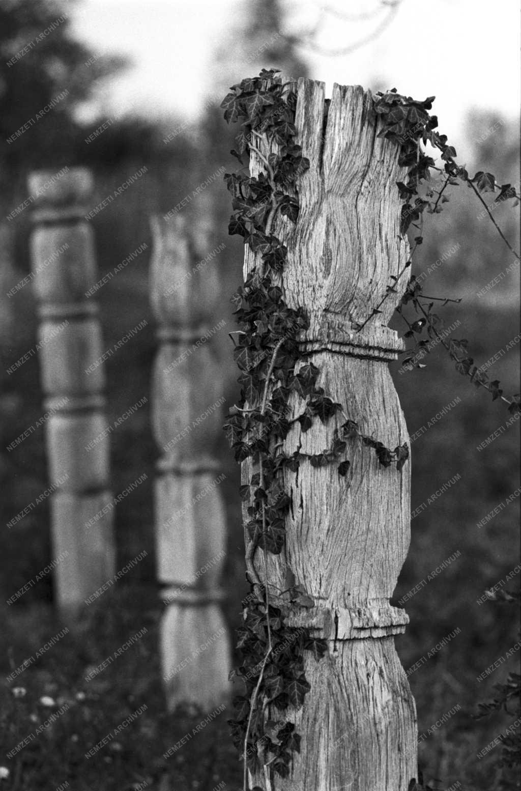 Néprajz - Fejfák a dunapataji temetőben