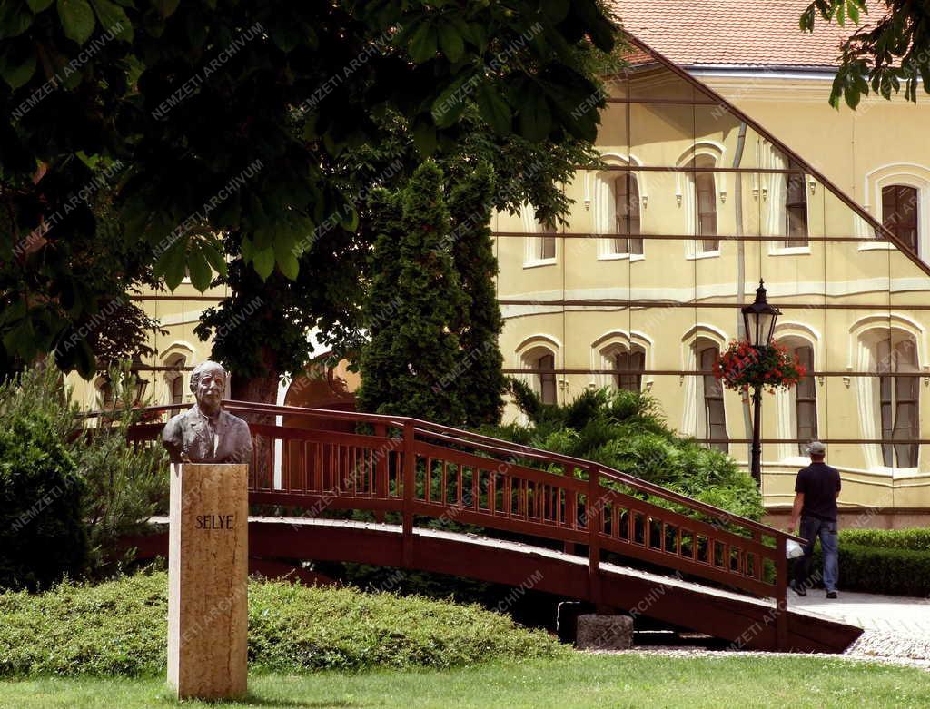 Szobrászat - Révkomárom - Selye János mellszobra