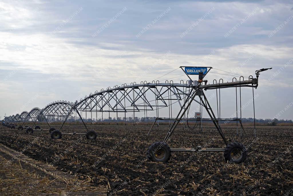Mezőgazdaság - Nádudvar - Öntöző rendszer