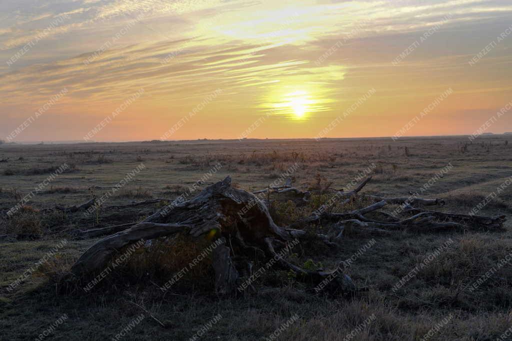 Tájkép - Természet - Ősz a Hortobágyon