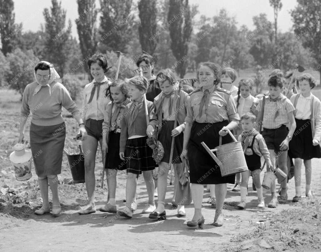 Szervezet - Mezőgazdaság - Úttörő termelőszövetkezet a XVII. kerületben