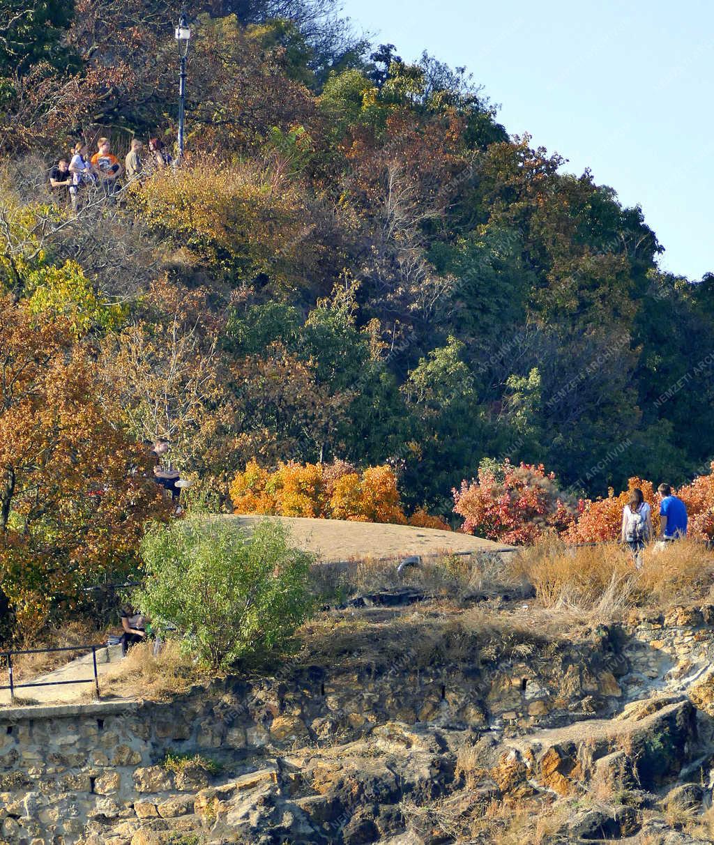 Természet - Budapest - Ősz a Gellért-hegyen