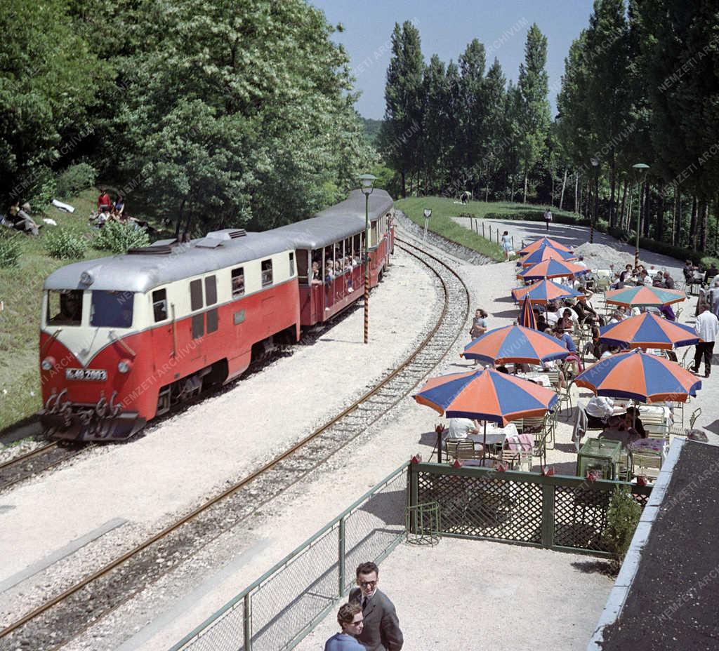 Közlekedés - Szervezet - Úttörővasút