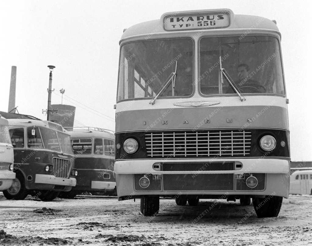 Ipar - Közlekedés - Ikarus 556-os autóbusz