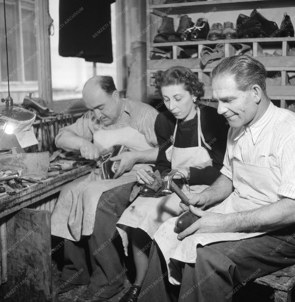 Ipar - Sipos cipőszalon