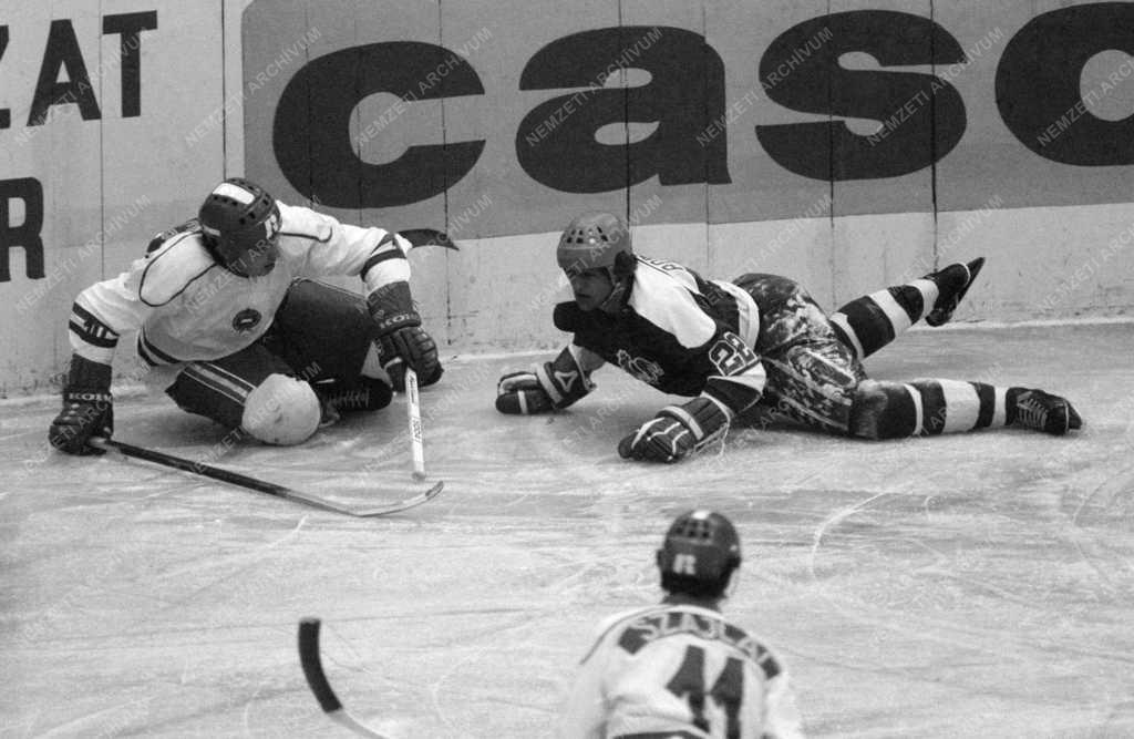 Sport - Jégkorong - C-csoportos világbajnokság - Magyarország-Franciaország