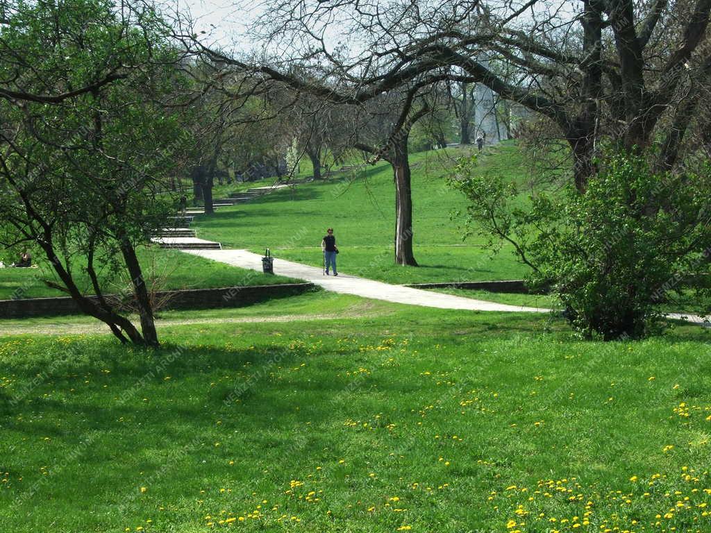 Természet - Budapest - Tavasz a Tabánban