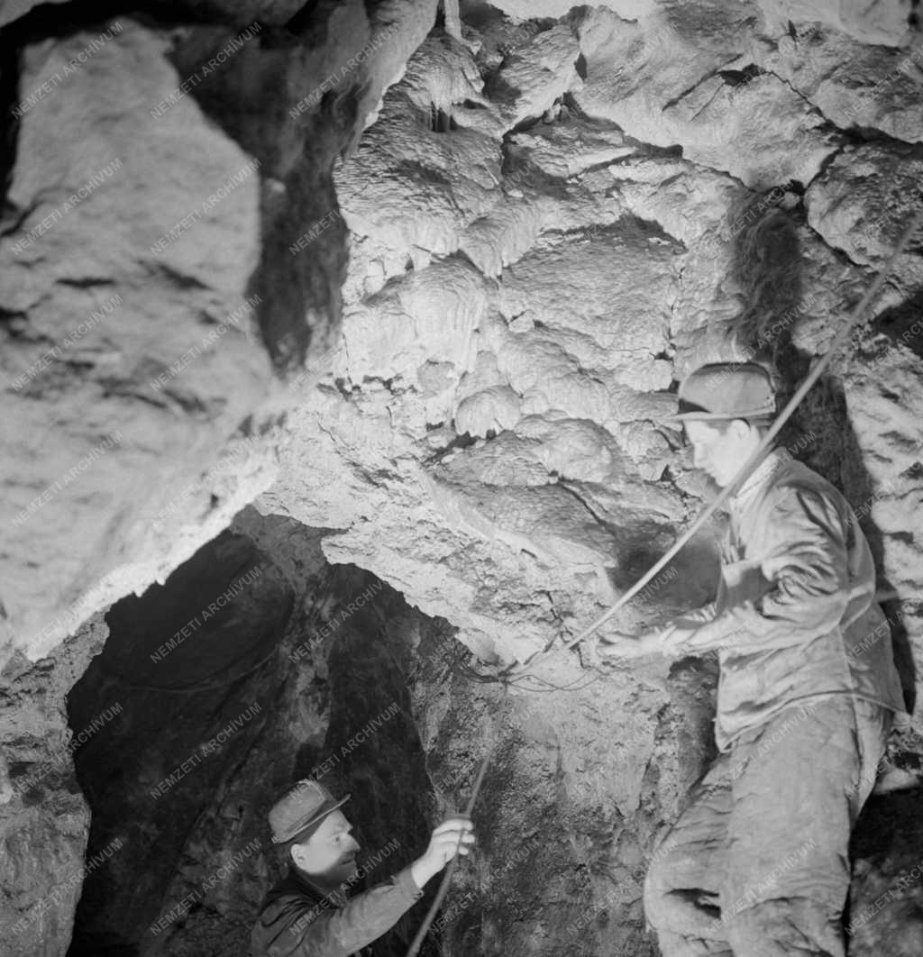 Természet - Pálvölgyi cseppkőbarlang