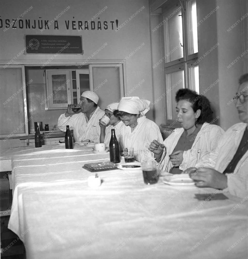 Egészségügy - Országos Vérellátó Szolgálat - Véradás