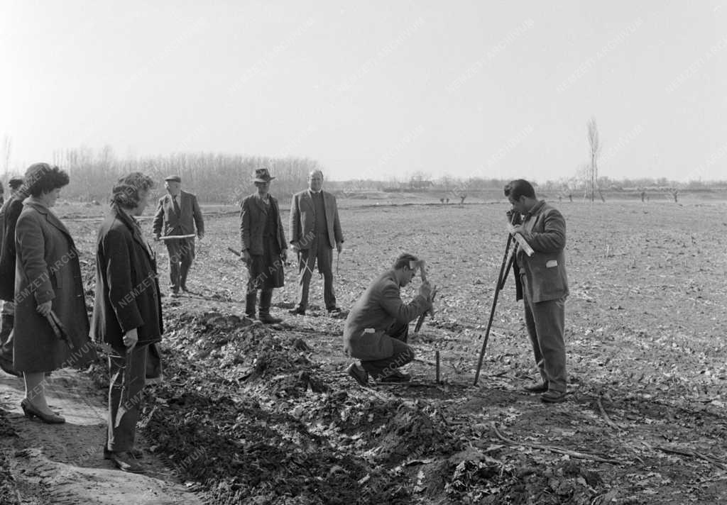 Agrárpolitika - Földosztás Tiszakécskén