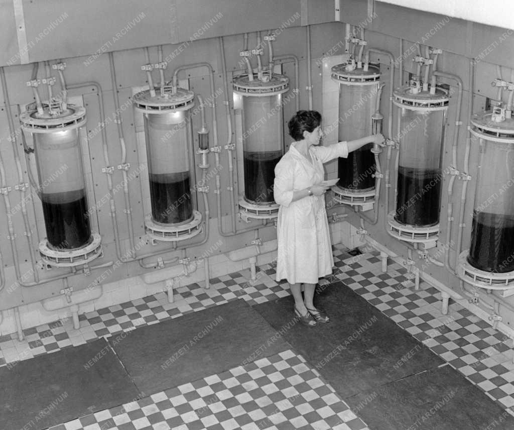 Ipar - Gyógyszeripar - Sztreptomicin gyártása a Chinoinban