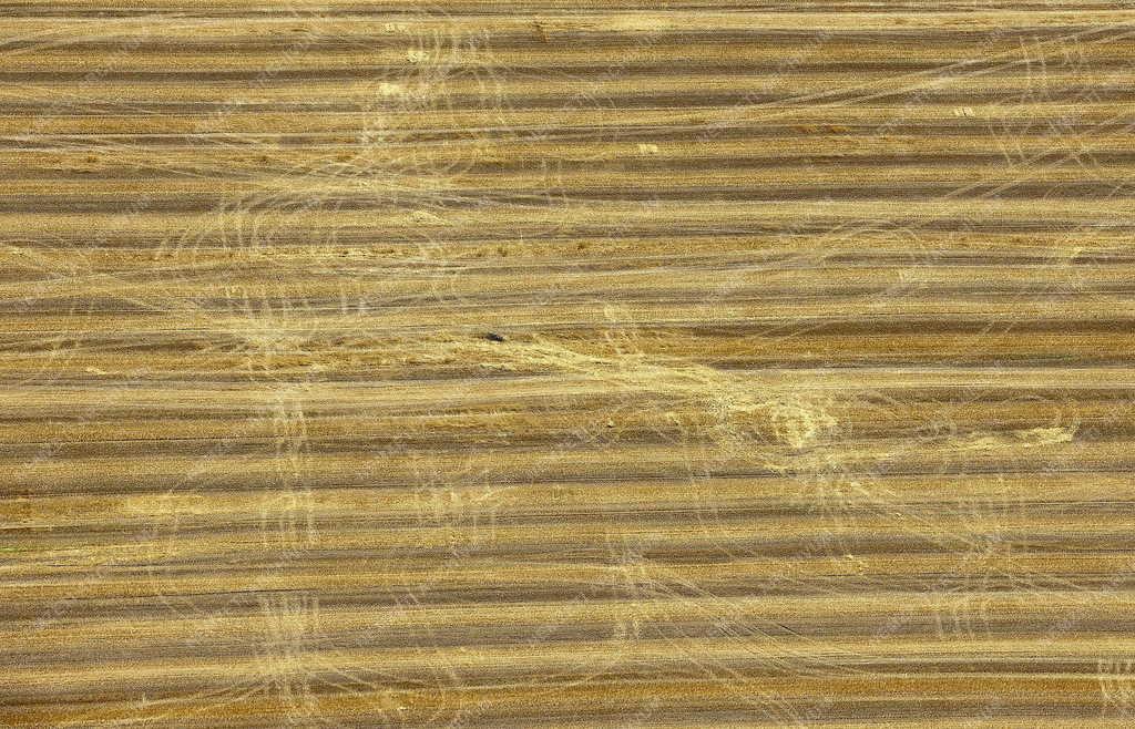 Mezőgazdaság -  Hajdúszoboszló - Keréknyomok a learatott búzatáblán