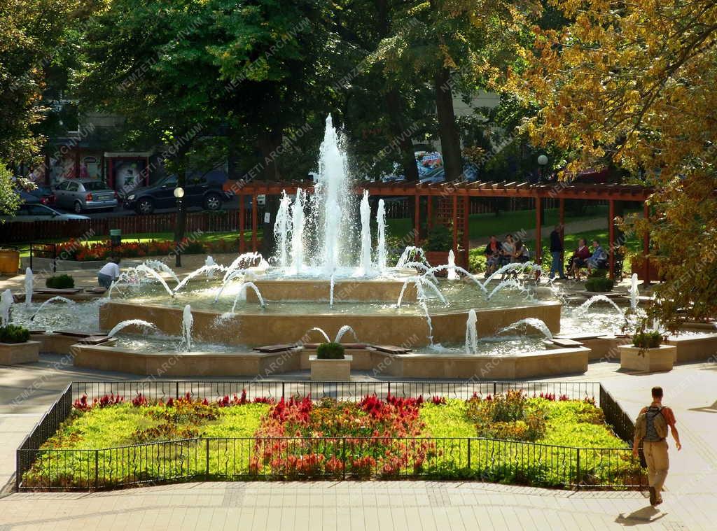 Táj, város - Budapest - Mechwart liget