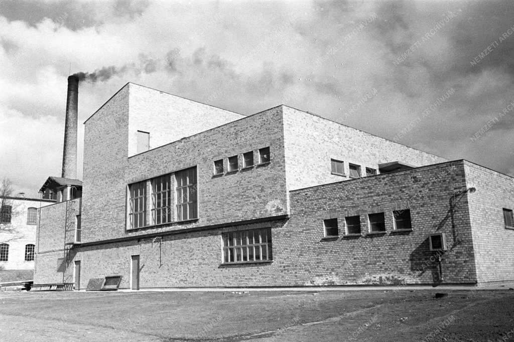 Gazdaság - Forte gyár