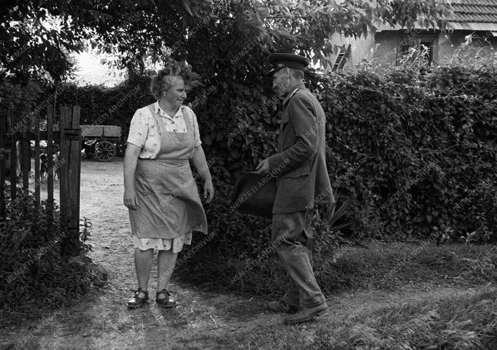 A szerző válogatása - Hencsei Lajos bakter