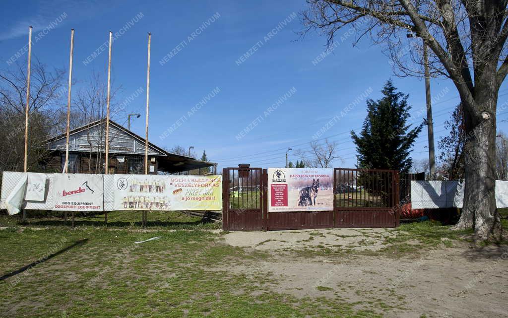 Sport - Budapest - Sportliget Kőbányán - Happy Dog Kutyaiskola