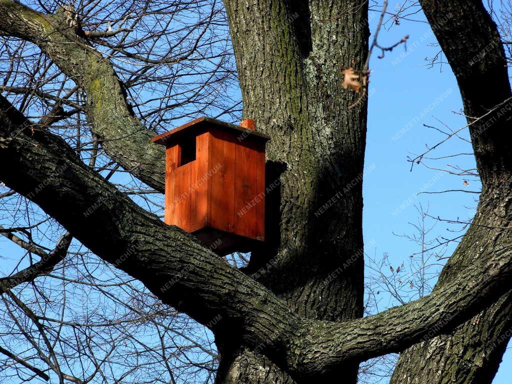 Természetvédelem - Budapest - Madáretető a Tabánban