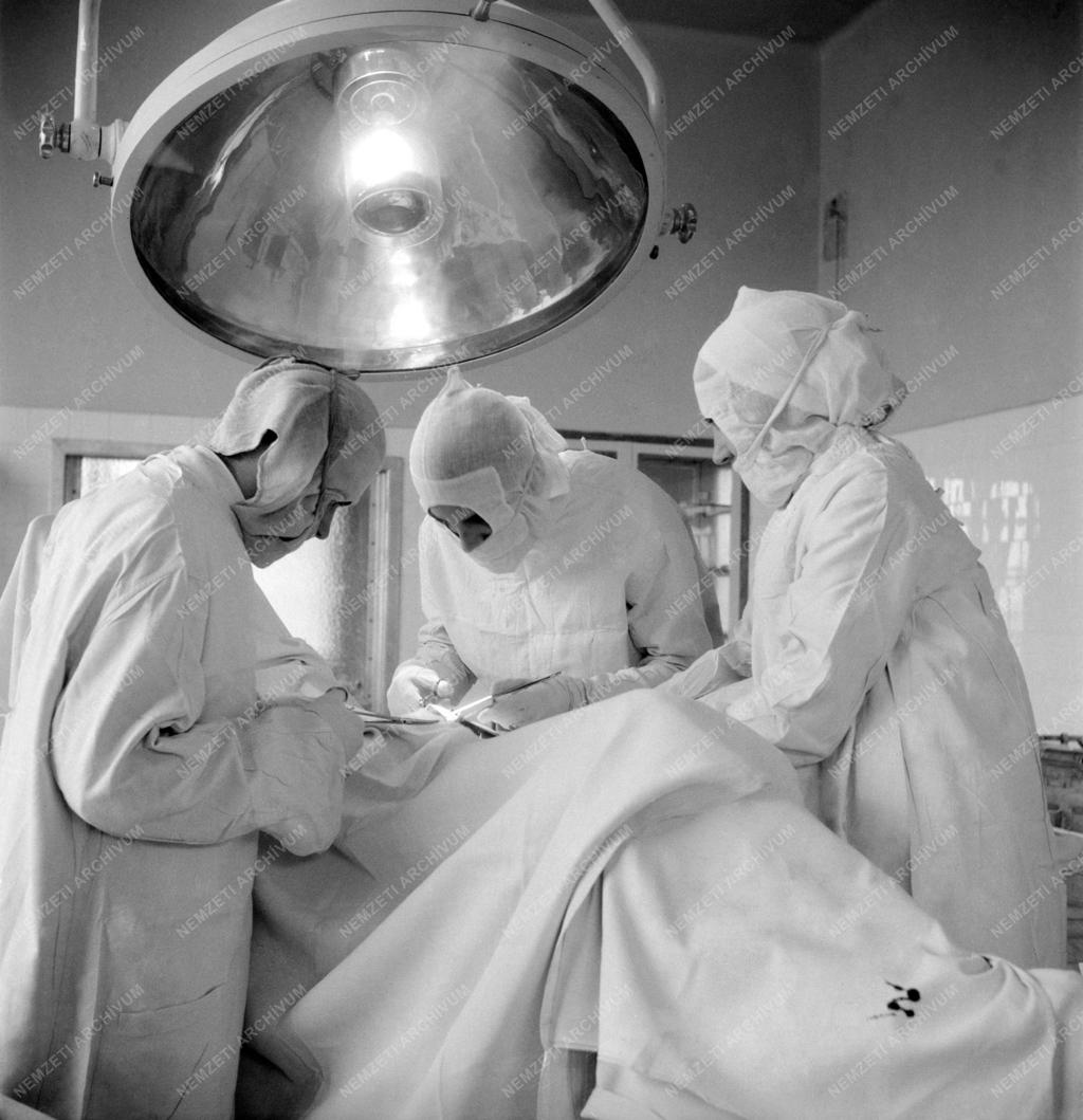 Egészségügy - Diósgyőr-Vasgyári Kórház