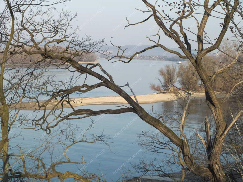 Tájkép - A Zebegényi-sziget látképe