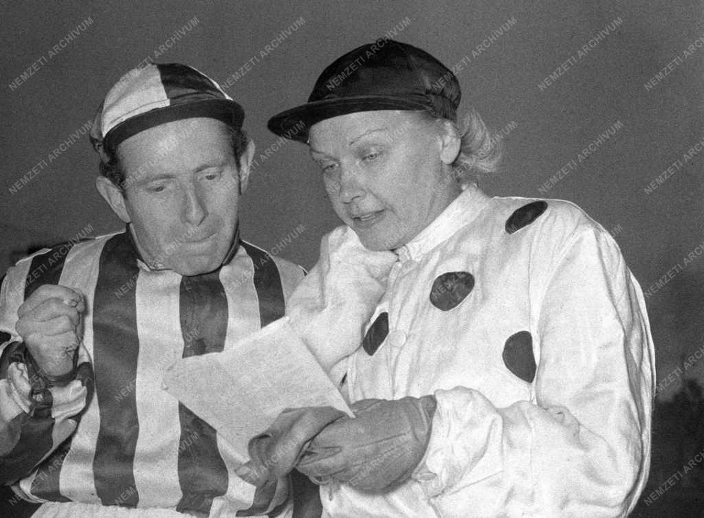 Sport - Amatőr lovasverseny az Ügetőn