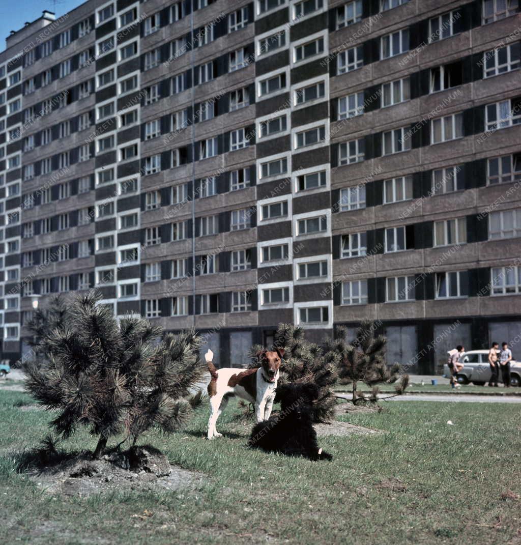Városkép - A kelenföldi lakótelep