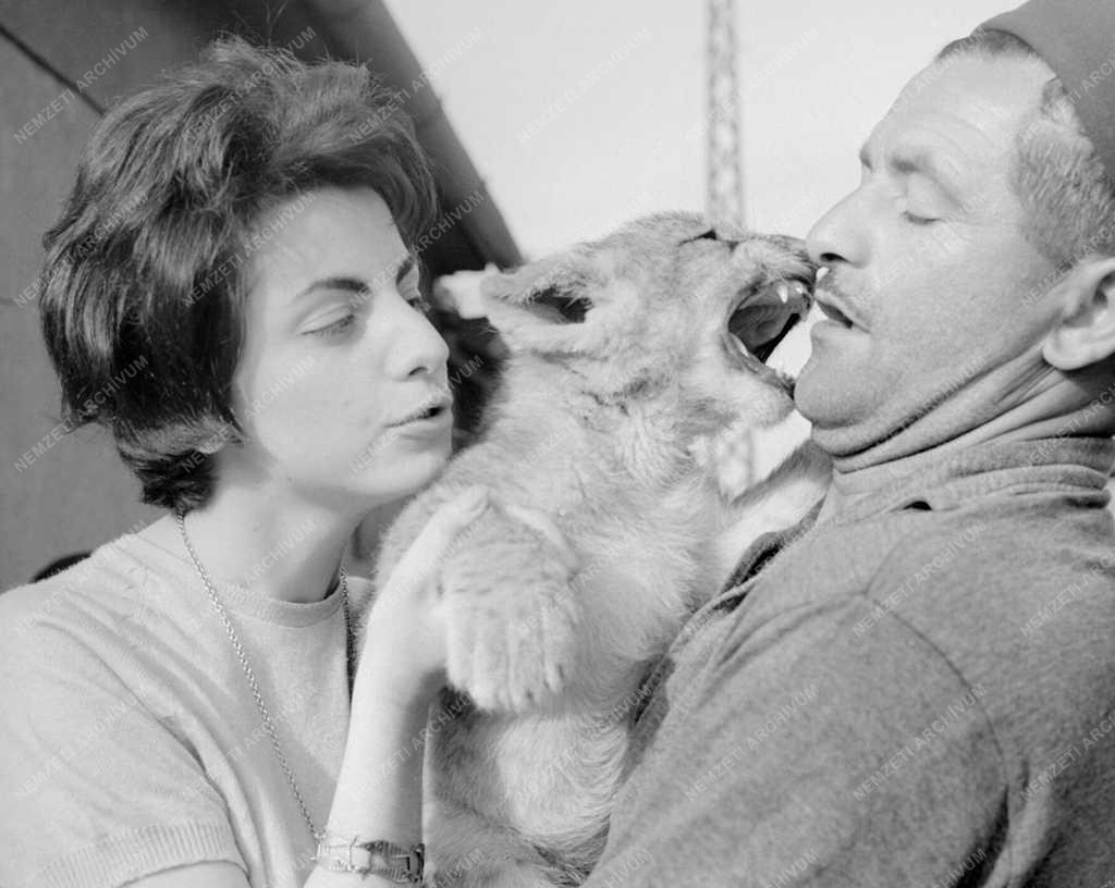 Állatvédelem - Állatszelidítés társadalmi munkában