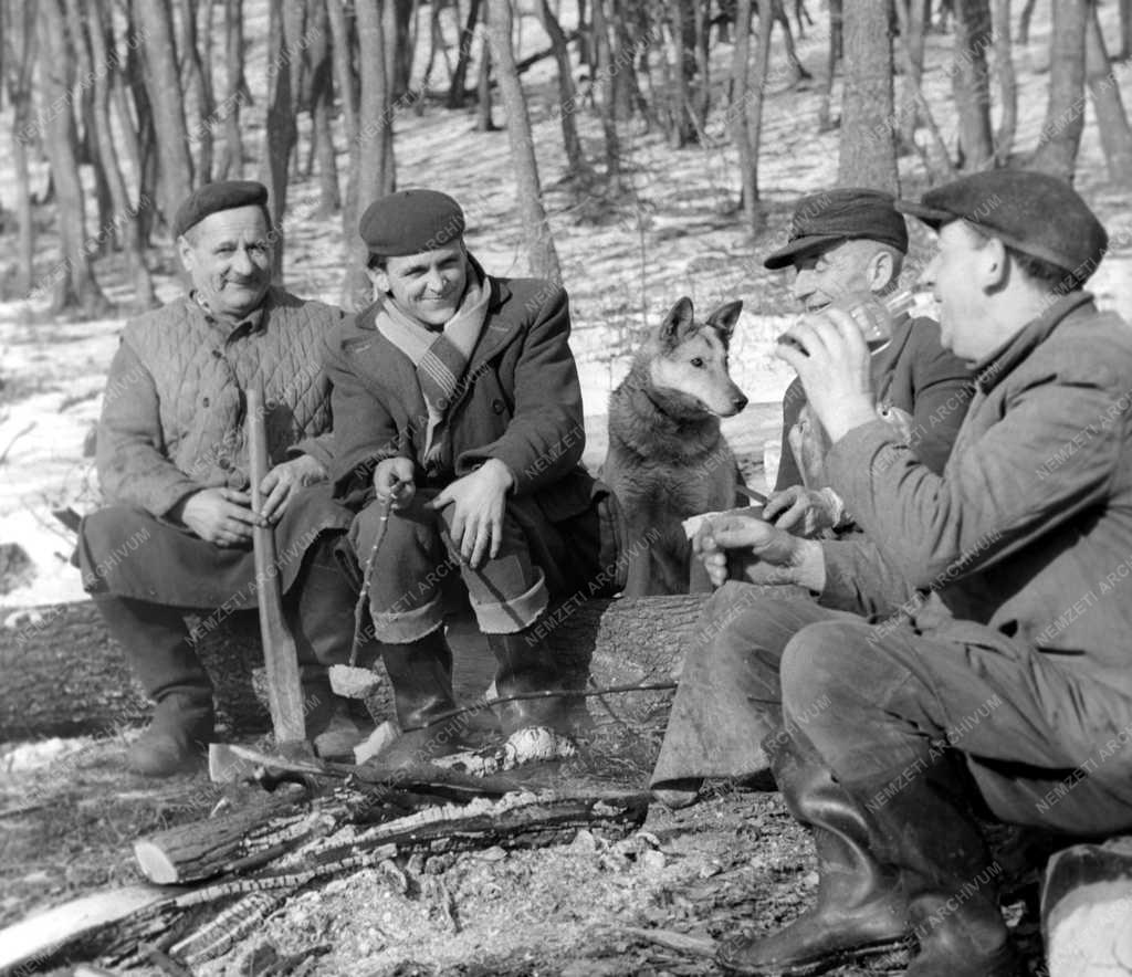 Munka - Életkép - Favágók Brennbergbányán