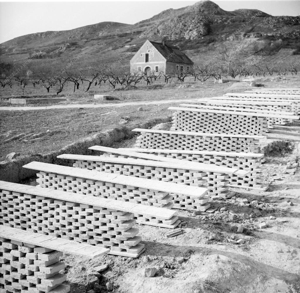 Táj, város - Budaörs 1949-ben