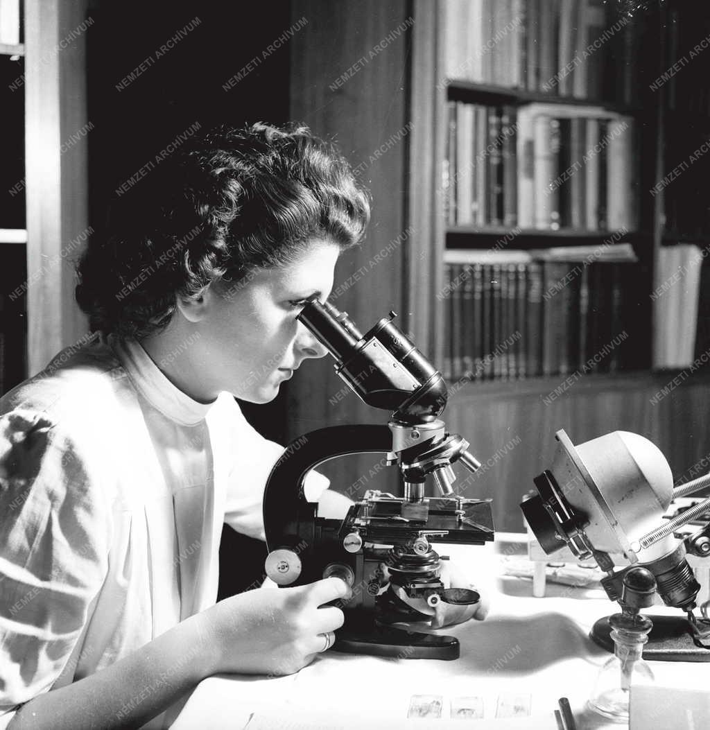 Személy - Dr. Révész Györgyné dr. Hollán Zsuzsa orvos, kutató