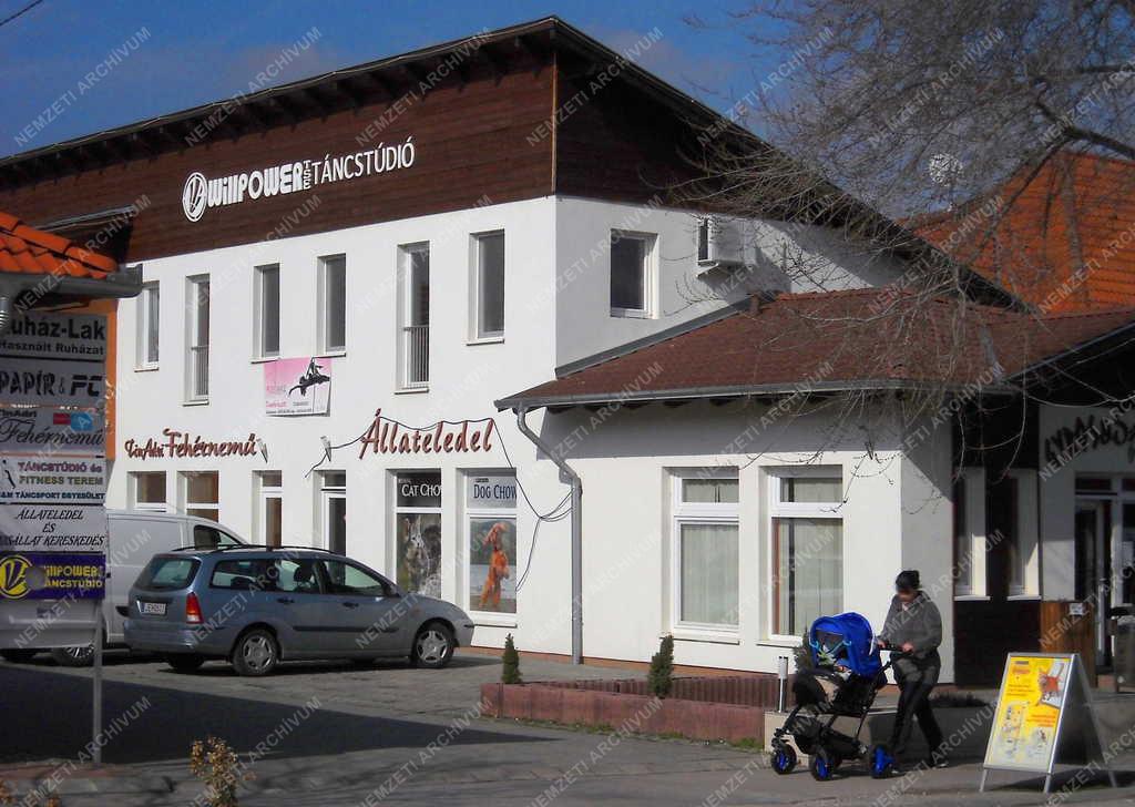 Épület - Dunavarsány - A városi táncstúdió épülete