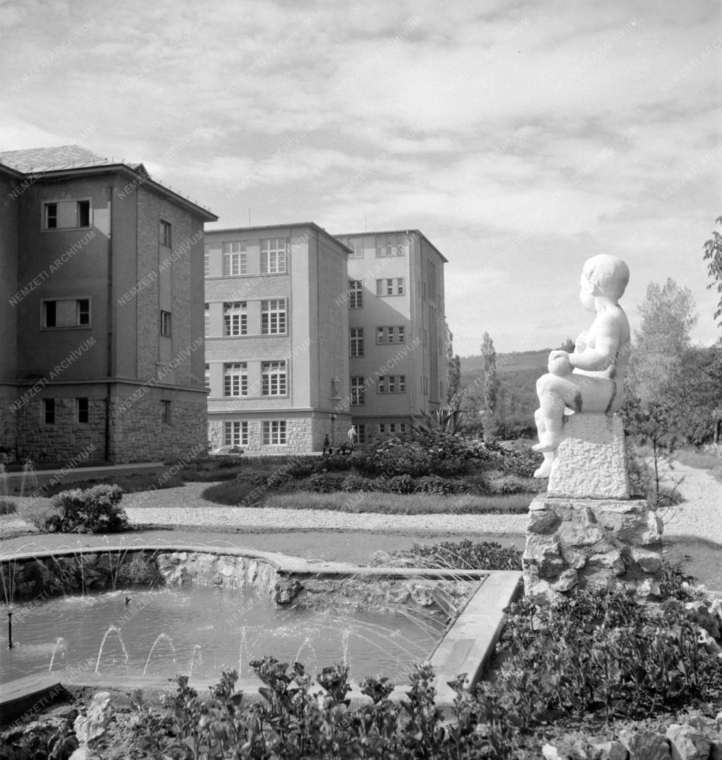 Egészségügy - Diósgyőr-Vasgyári Kórház