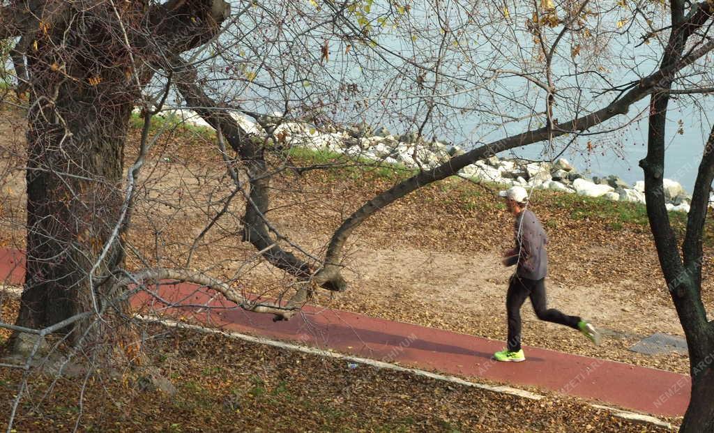 Egészségmegőrzés - Futó a Margitszigeten