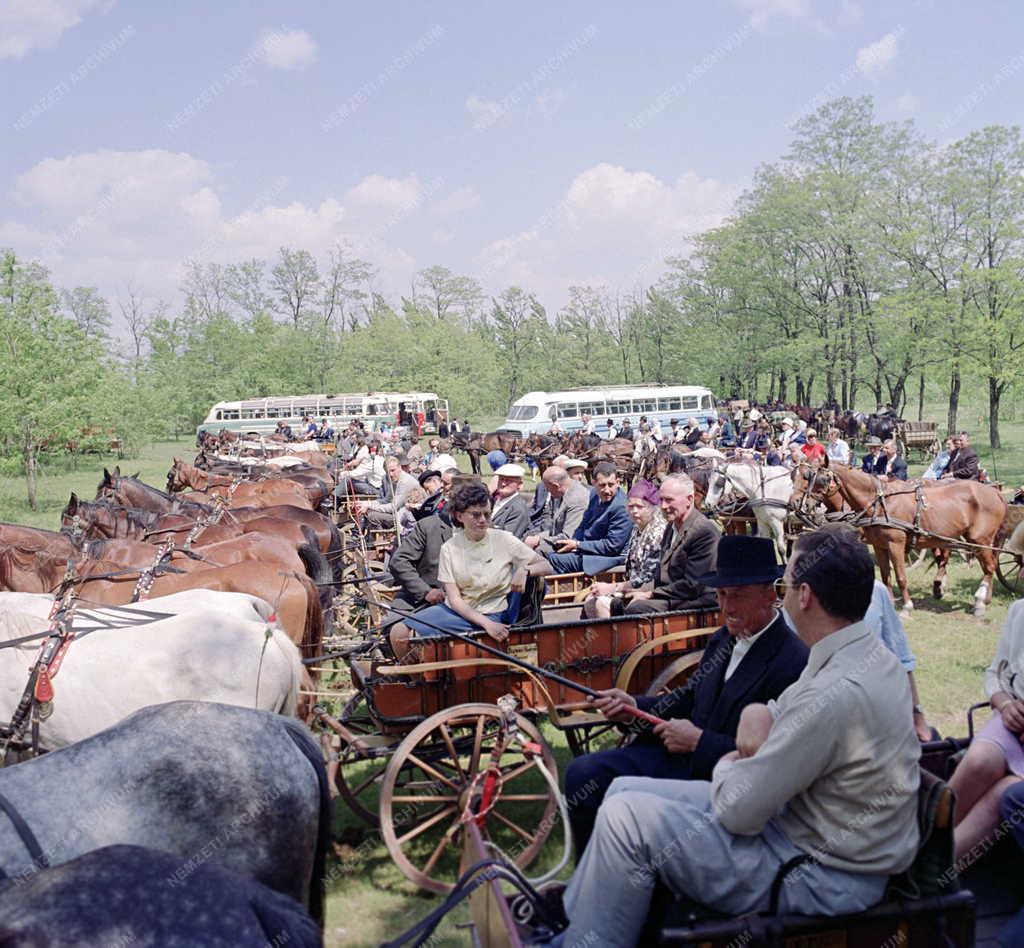 Turizmus - Külföldi turisták Bugacon