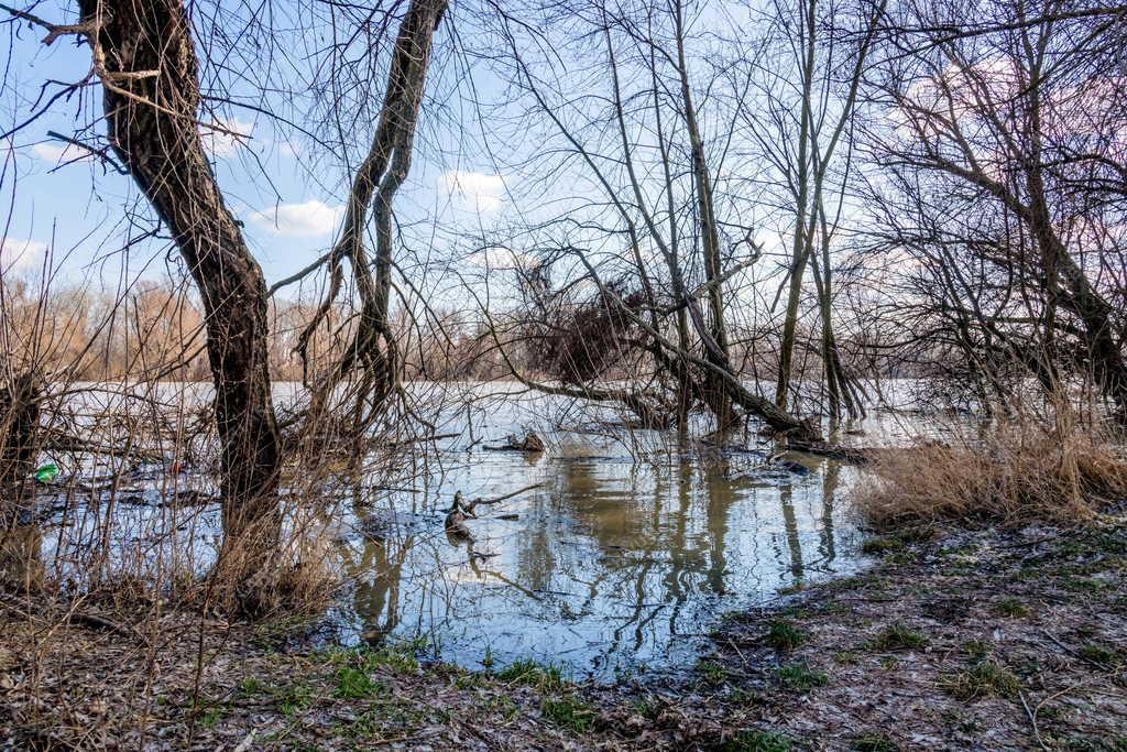 Tájkép -A Tisza folyó Szegednél